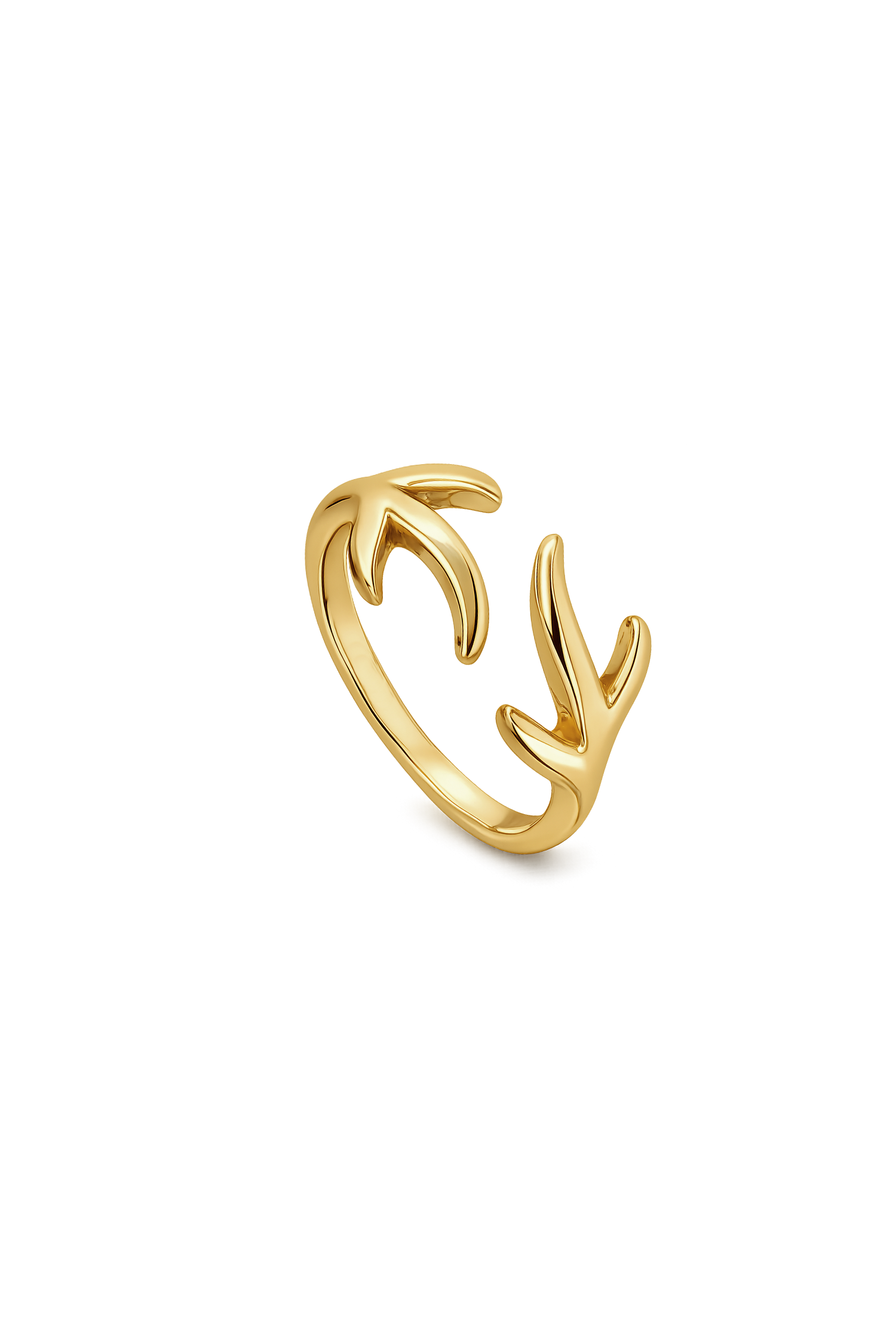 ANILLO ISERON