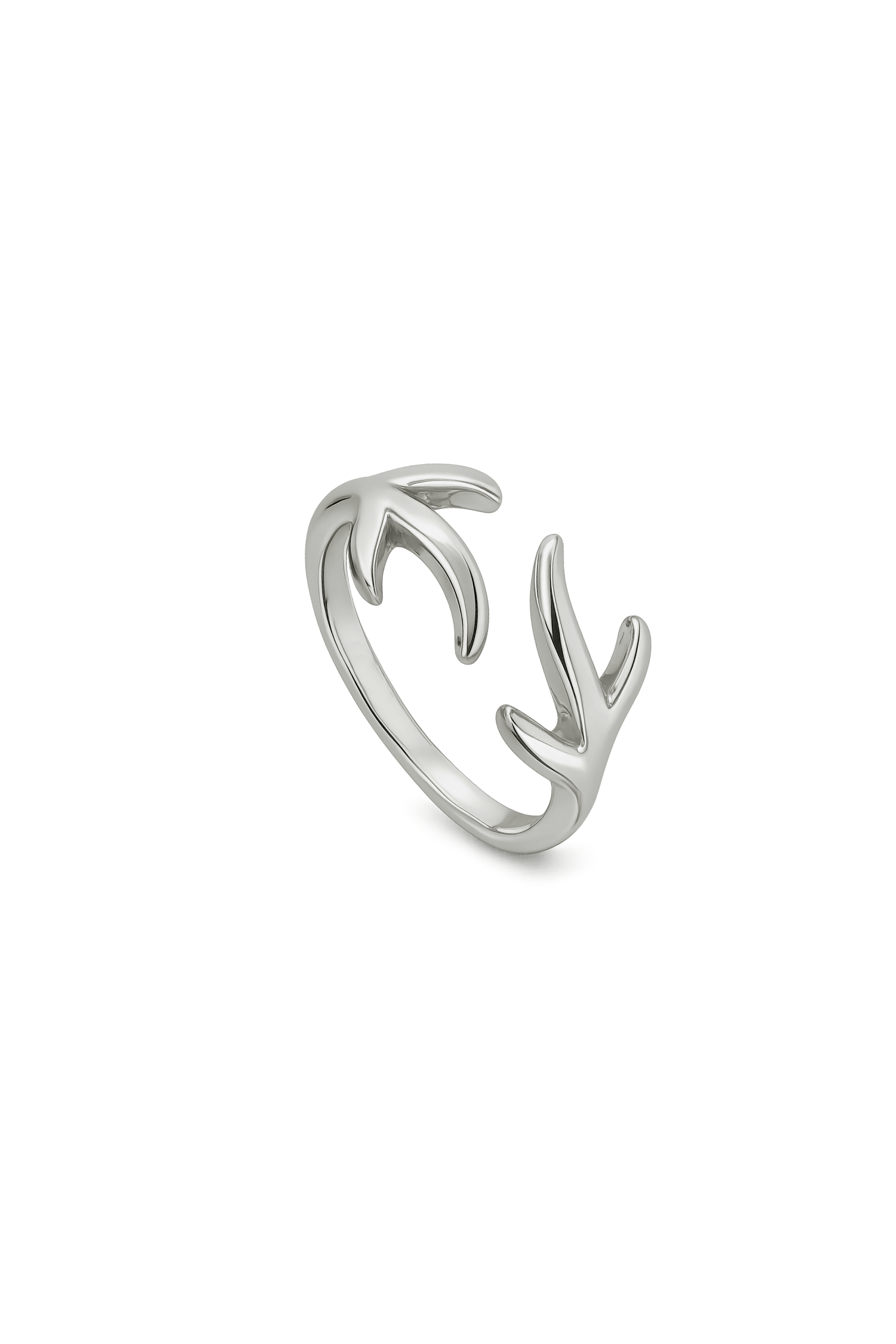 ANILLO ISERON PLATA