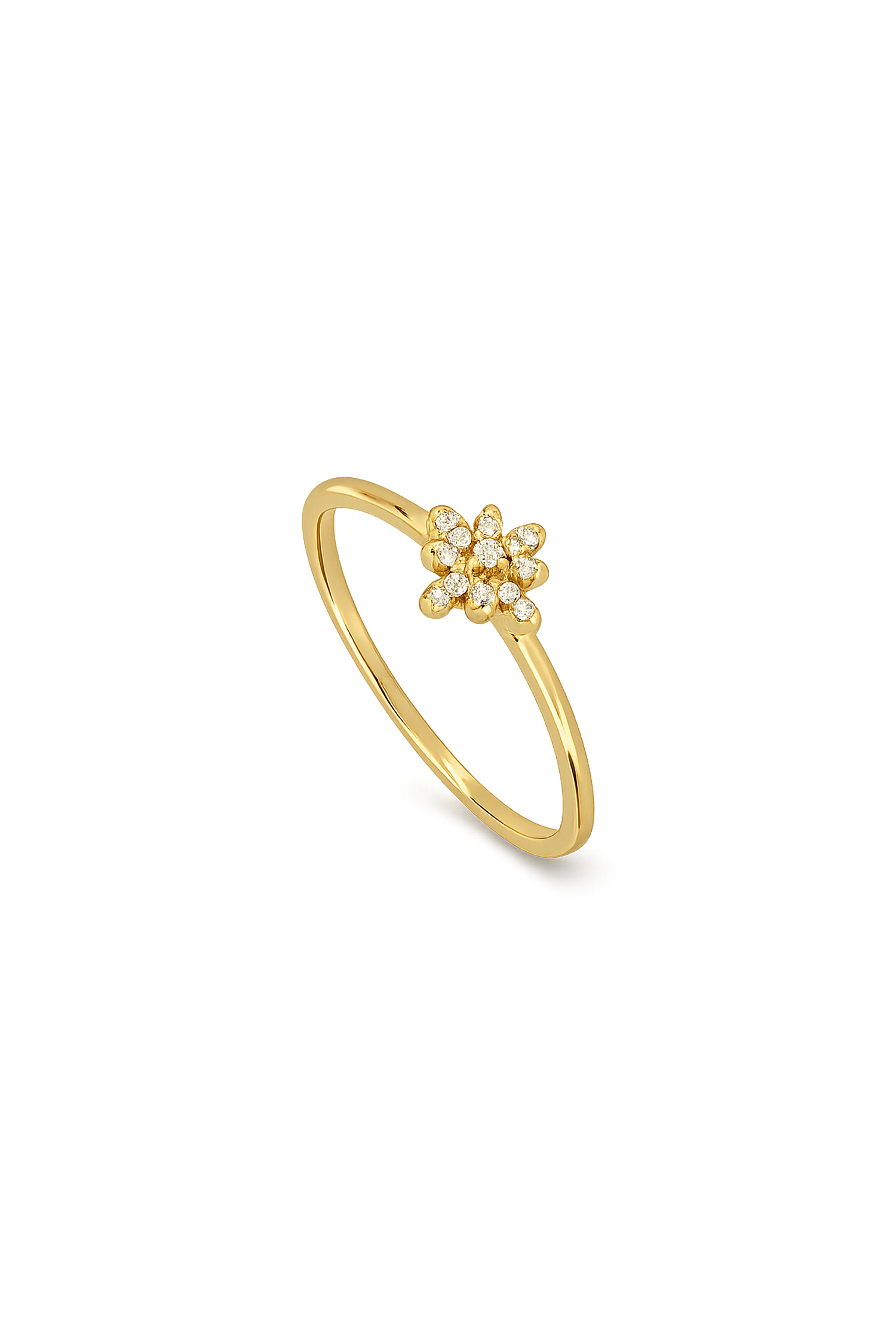 ANILLO TALNEL