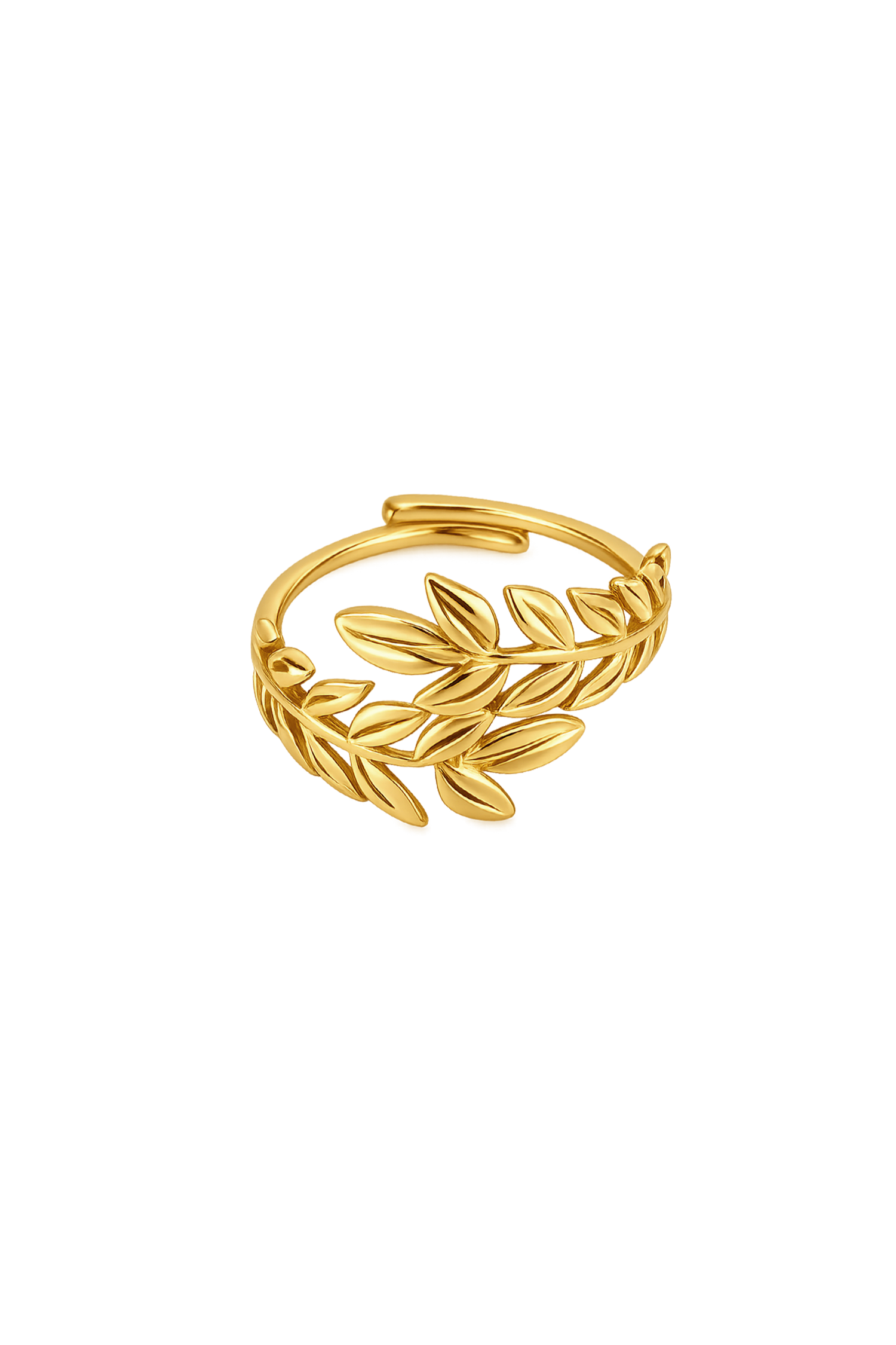 BAGUE LAURIER