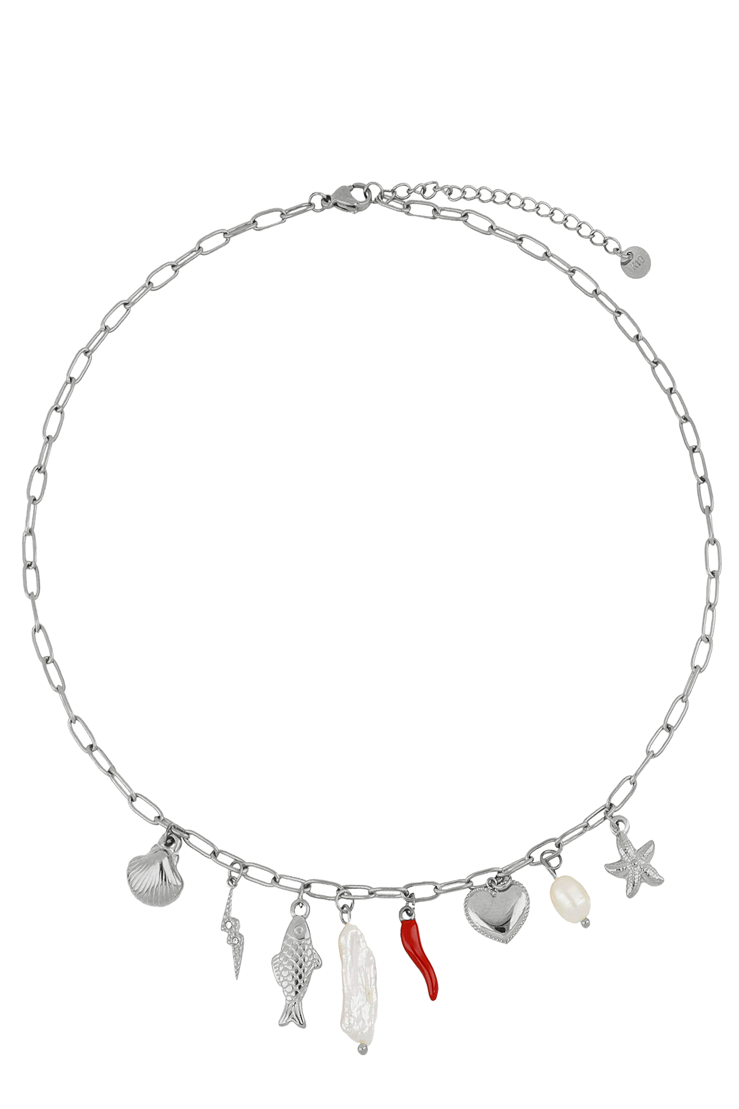 COLLIER CÍES ACIER
