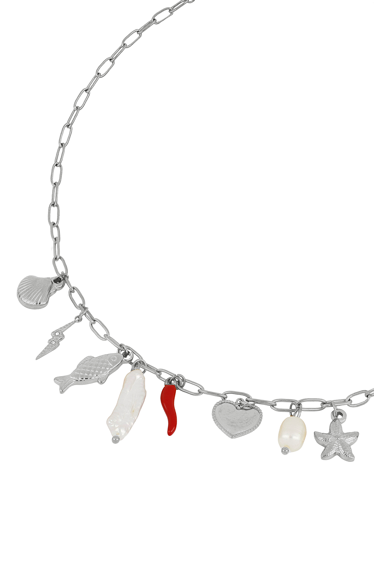 COLLIER CÍES ACIER