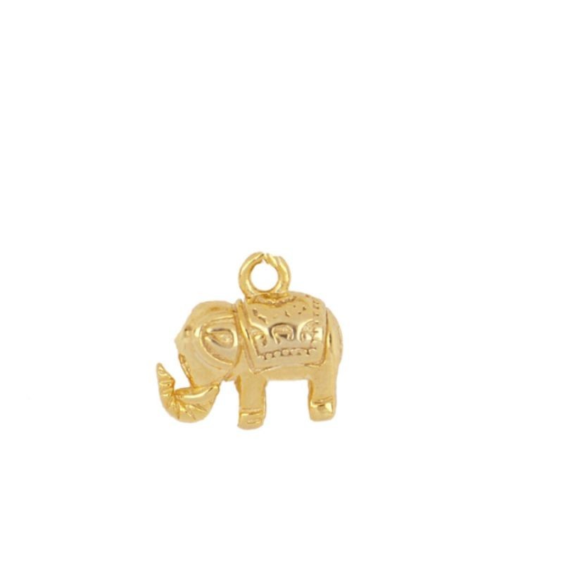Indian Gold Charm