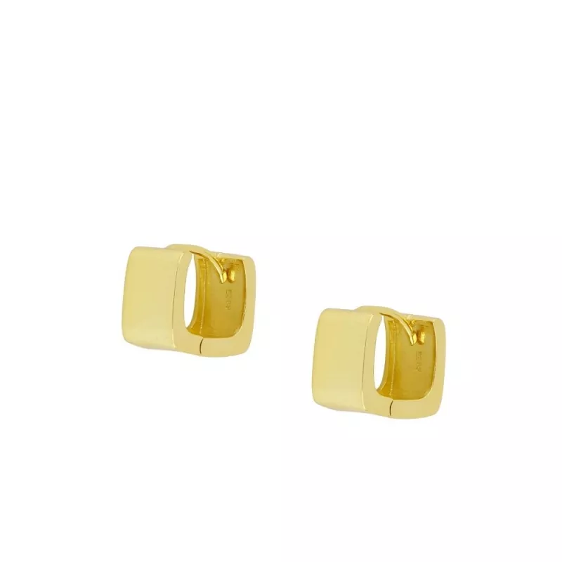 Pendiente Aro Raisa Oro