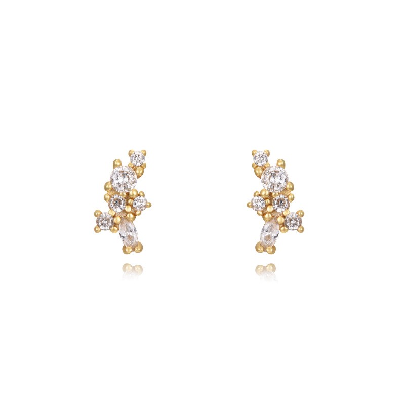Zirconia Tamir Gold Earring
