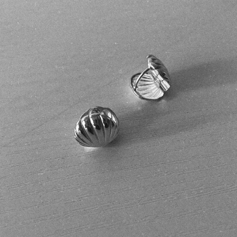 Pendientes Bivalvo (PAR) 2