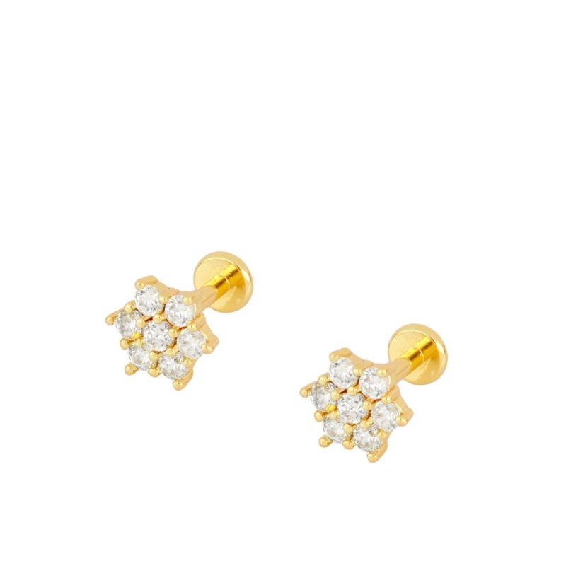 Zircons Star Gold Piercing
