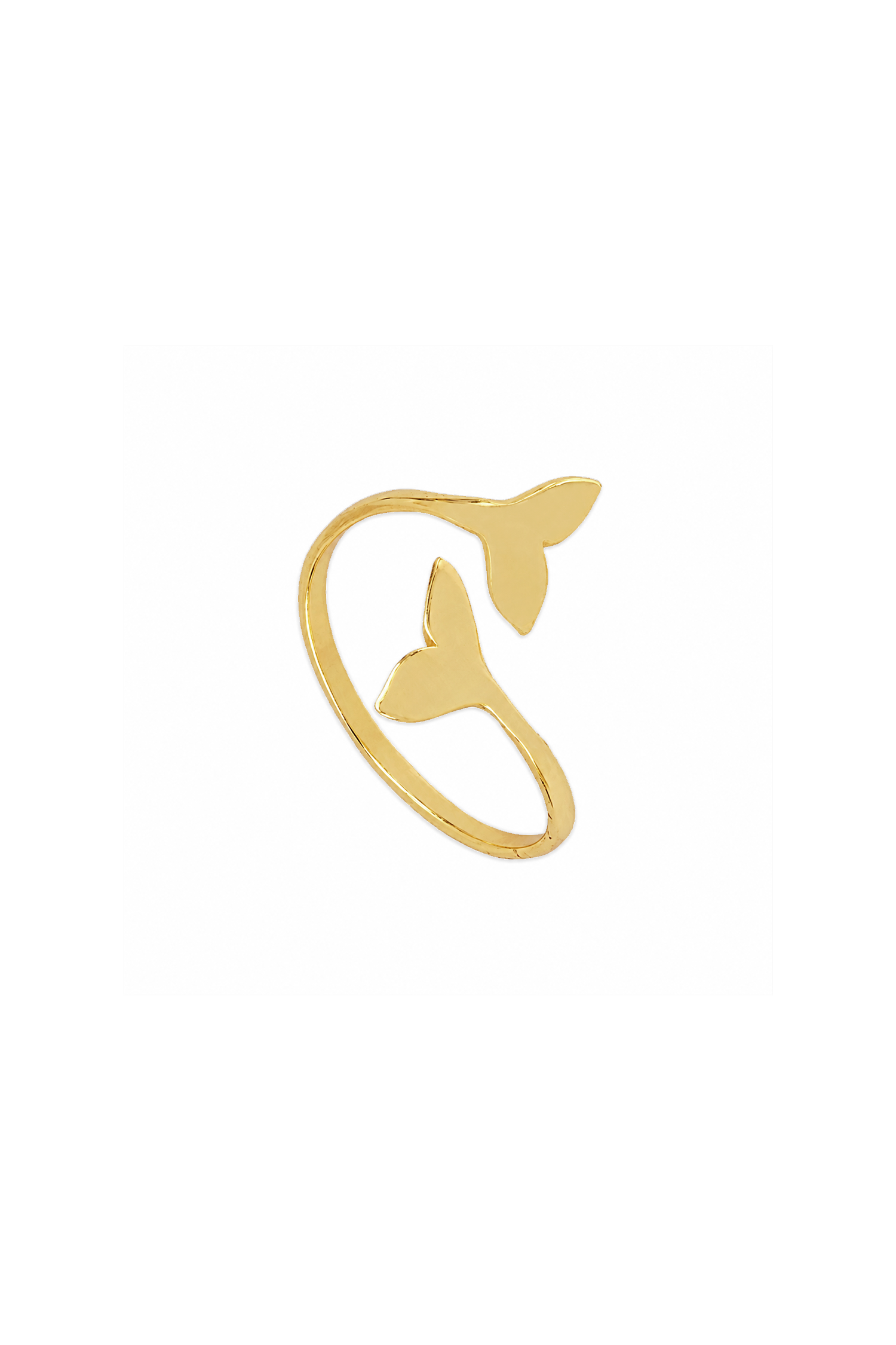 ANILLO SARELA